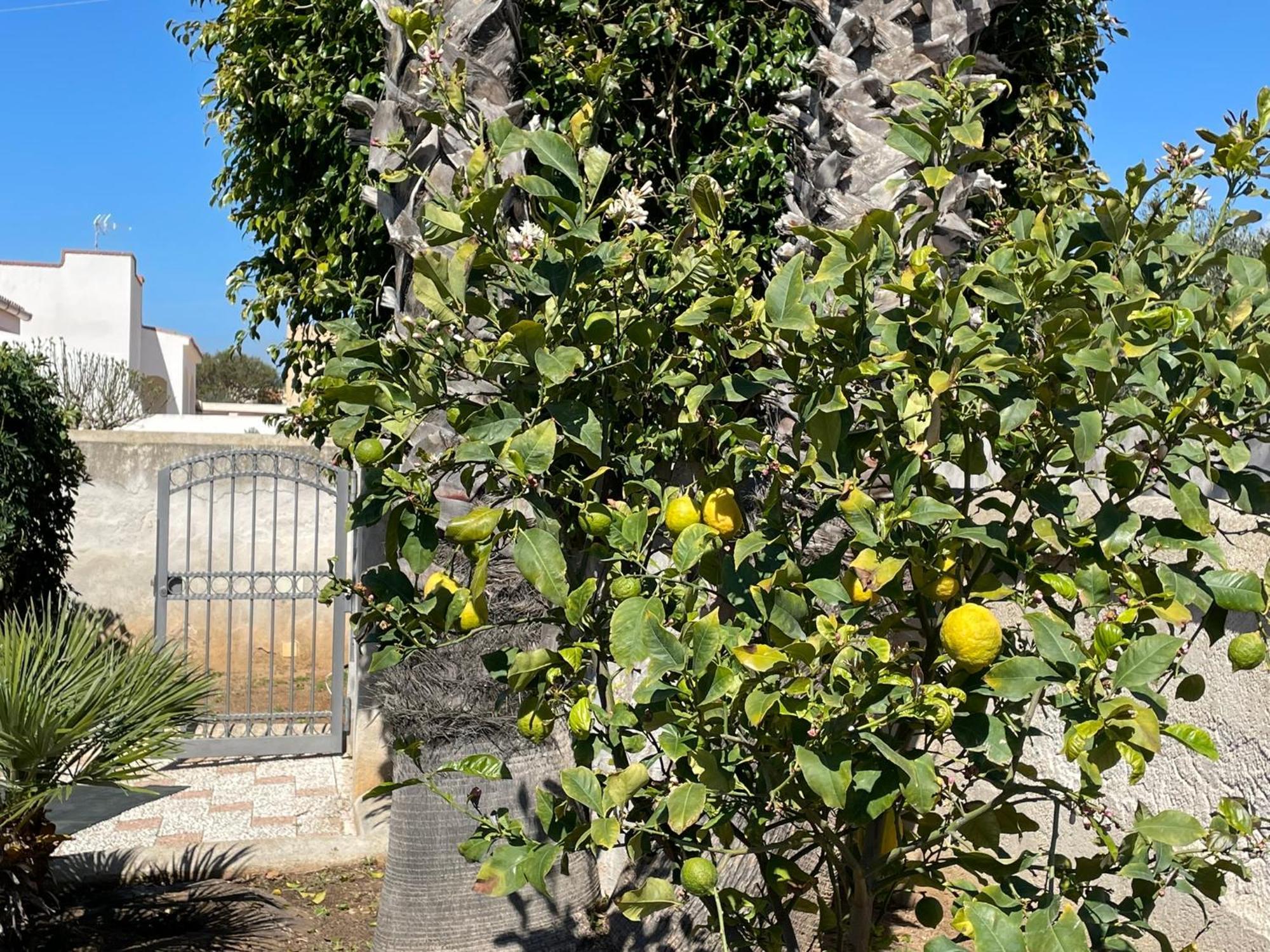 Villa Silvana Mazara del Vallo Exteriör bild